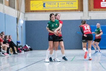 Bild 237 - F HSG Kremperheide/Muensterdorf - TSV SR Schuelp : Ergebnis: 19:14